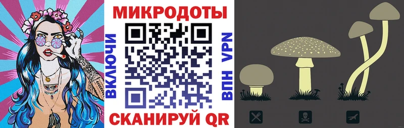 Купить  Сольцы  Псилоцибиновые грибы мицелий 